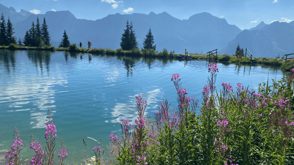 Opportunity-Set Bias in Mean-Reversion Trading Systems